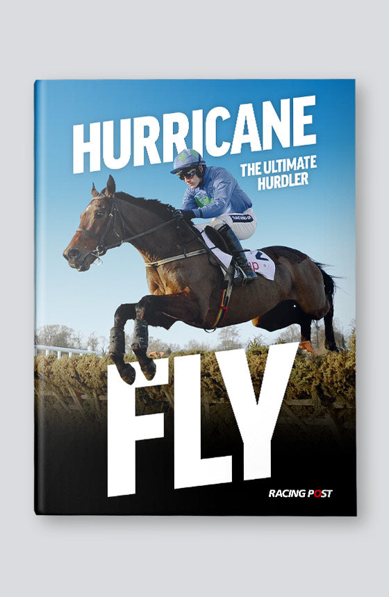 Hurricane Fly