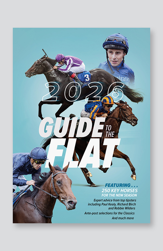 Guide to the Flat 2026 PDF